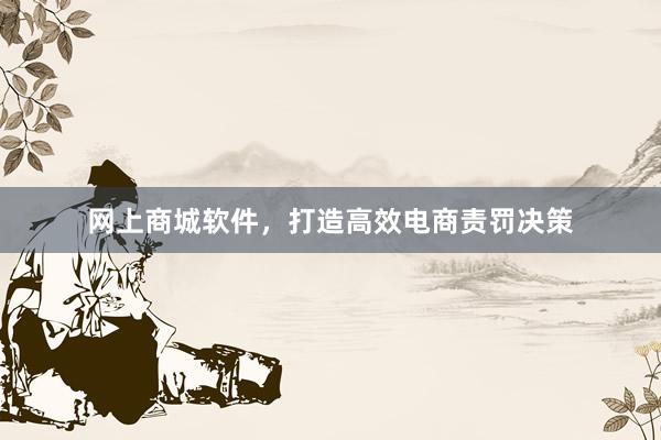 网上商城软件,打造高效电商责罚决策