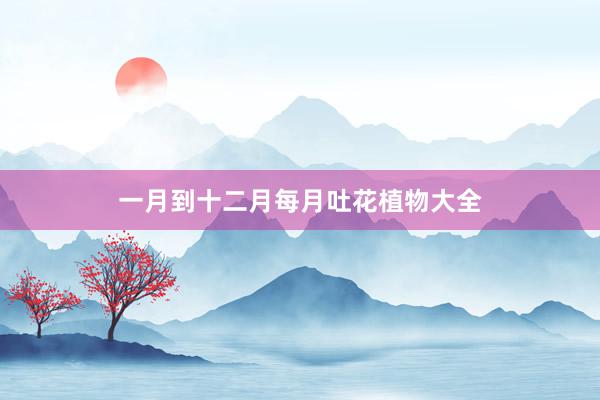 一月到十二月每月吐花植物大全